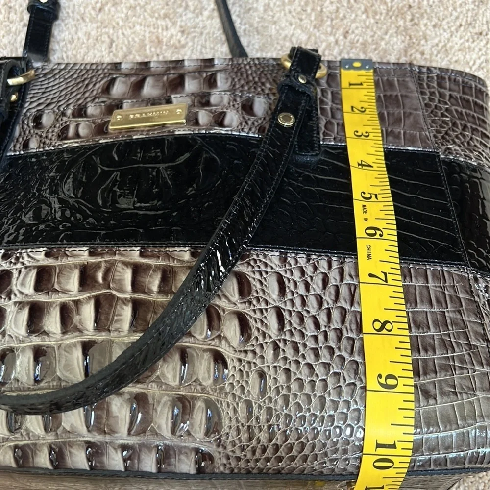 Brahmin melbourne asher